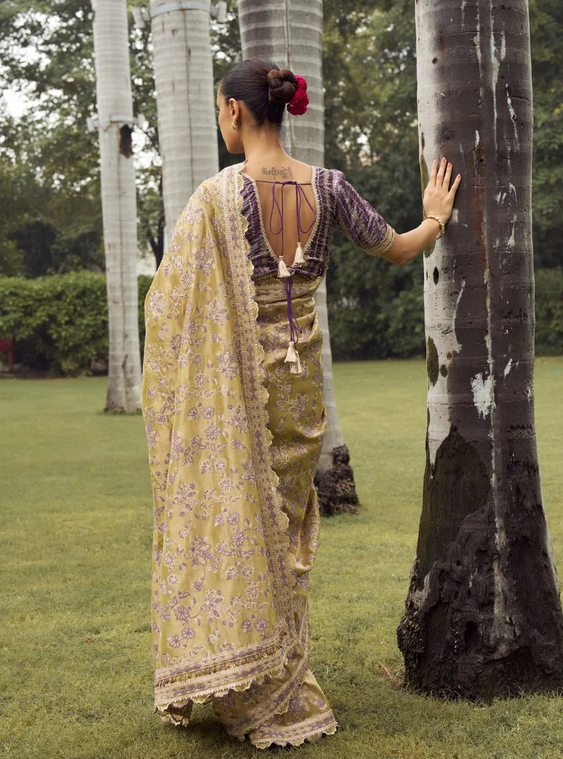 Gulal Tissue Pista Green Saree